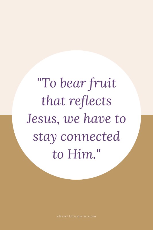 To bear fruit that reflects Jesus, we have to stay connected to Him. shewillremain.com